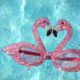 Tropik Esintiler: Flamingo Tasarım Çılgınlığı