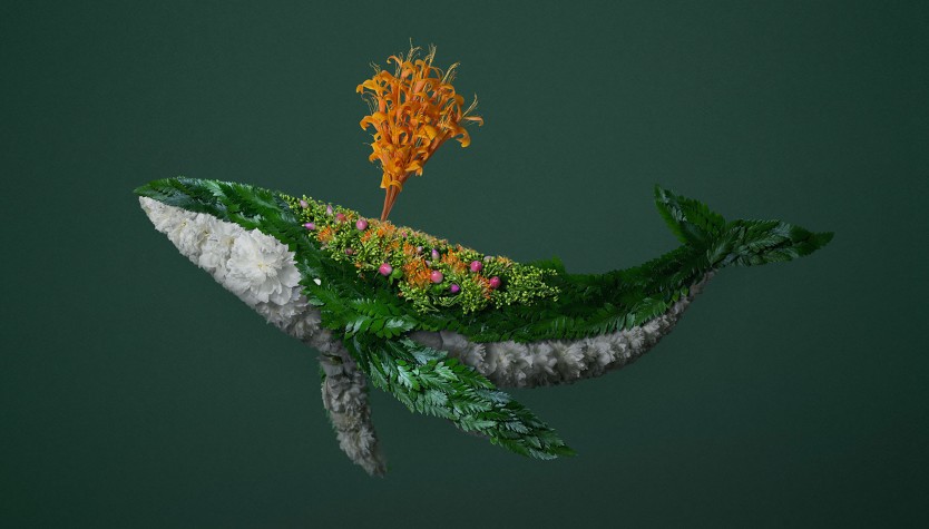 çiçek ve bitkilerle yapılan hayvanlar balina raku inoue